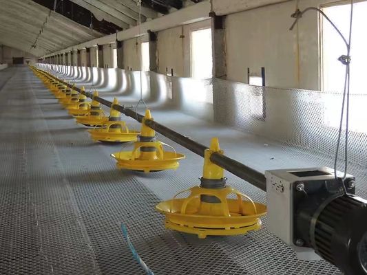 99g Chick Line Feeder Automatic Poultry Feeder System For Farming