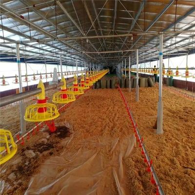 Chicken Feeding Equipment Poultry Feeding Pan For Farming Use