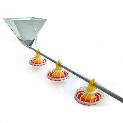 Chicken Feeding Equipment Poultry Feeding Pan For Farming Use