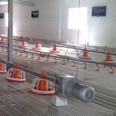 Broiler Feeding Pan Poultry Drinking Line Nipple Drinker For Quail