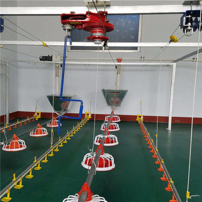 Automatic Poultry Feeder For Broiler Automatic Pan Feeding System