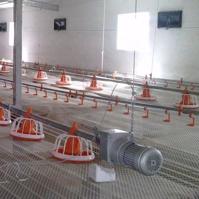 Automatic Poultry Feeder For Broiler Automatic Pan Feeding System