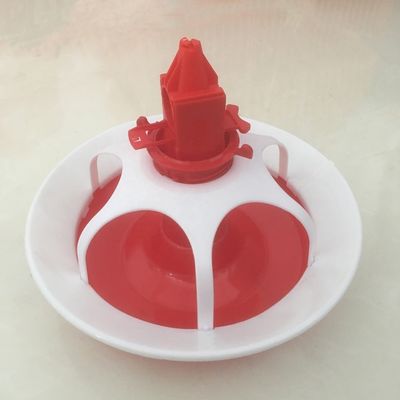 Duck and goose feeding tray