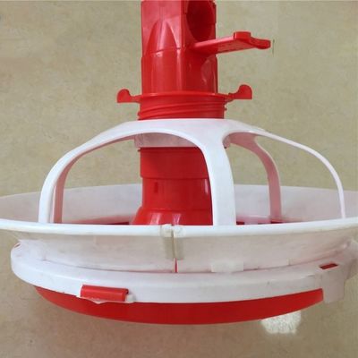 Duck and goose feeding tray