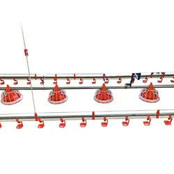 Galvanized Chicken Raising Equipment Poultry Drinking Line Raised Chicken Waterer