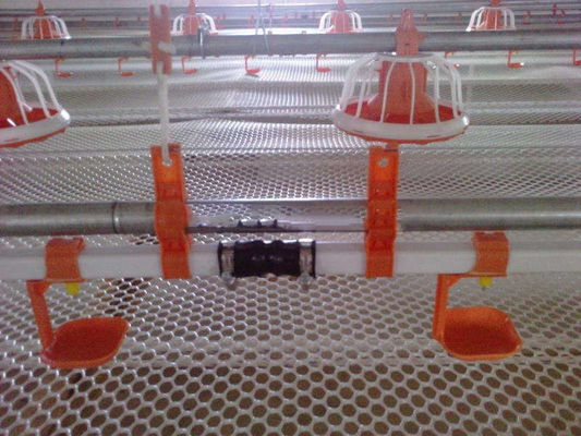 Yellow Poultry Drinking Line IPX4 PVC Chicken Watering System