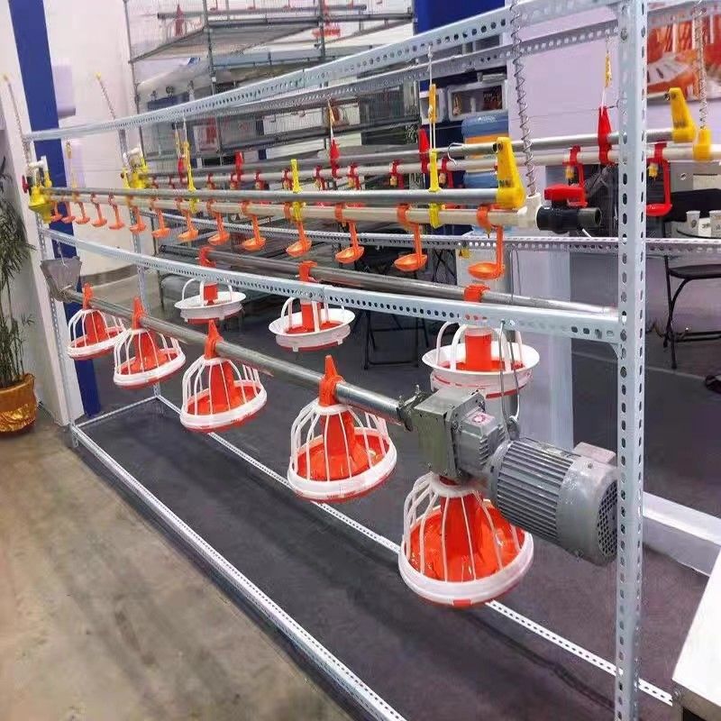 99g Chick Line Feeder Automatic Poultry Feeder System For Farming