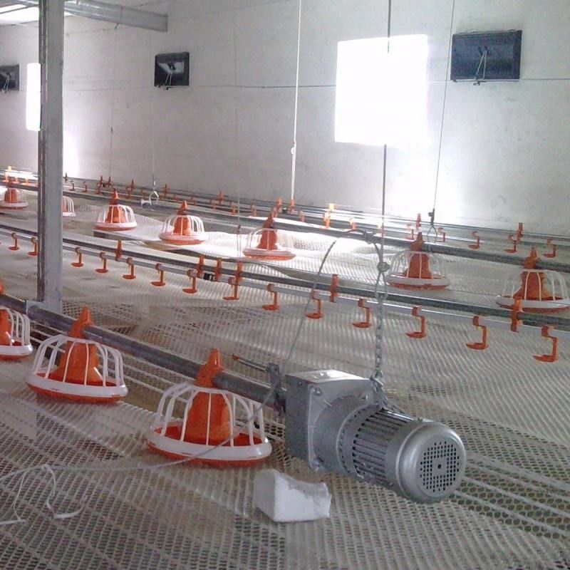 Automatic Poultry Feeder For Broiler Automatic Pan Feeding System
