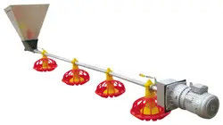 Automatic Poultry Feeding And Drinking Equipment For Complete Broiler House