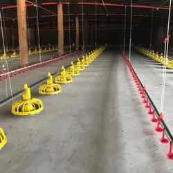 PVC 99g Broiler Automatic Feeder Automatic Feeding Machine For Poultry