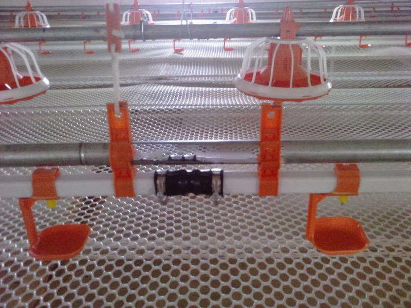 Yellow Poultry Drinking Line IPX4 PVC Chicken Watering System