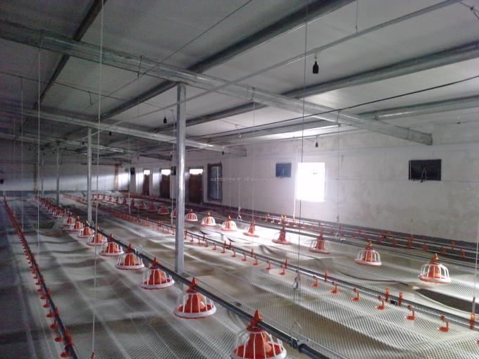 automatic poultry feed system for sale house ground floor feeding farm chicken house System equipment Automatic price