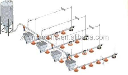 automatic poultry feed system for sale house ground floor feeding farm chicken house System equipment Automatic price