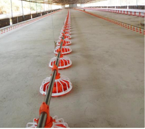 Equipamento Automático para Aves de Frango Linha de Alimentação de Frangos 50-100kg/H 0