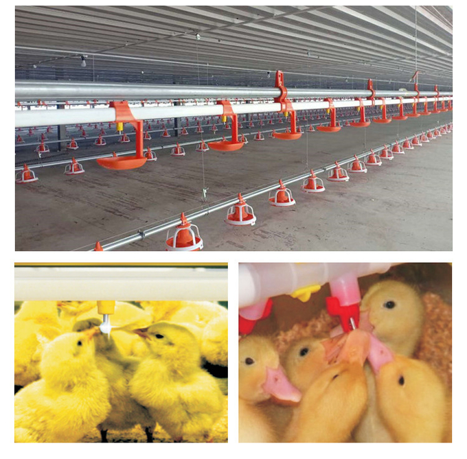 Fornecedor bebendo 2 do bebedor do bocal do sistema da galinha automática das aves domésticas