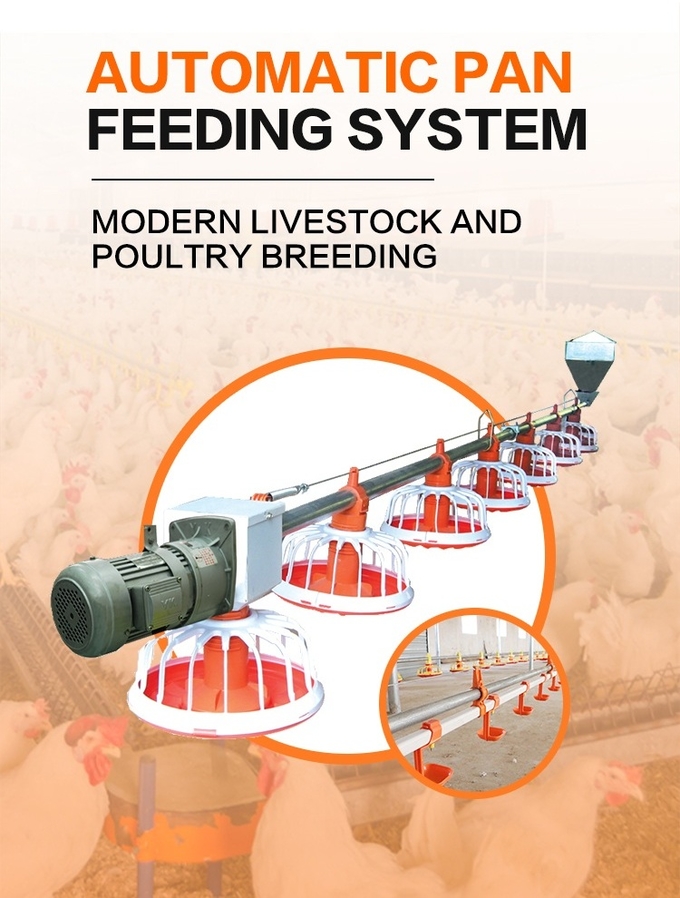 Equipamento agrícola de alimentação 0 da galinha do sistema da grelha automática do equipamento das aves domésticas