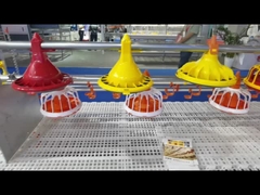 Sistema automático da alimentação de aves domésticas