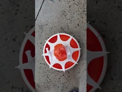 Máquina de alimentação automática para a exploração agrícola de galinha, linha de alimentação simples, conjunto completo de equipamento de alimentação