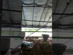 Tensão automática personalizada do equipamento do alimentador da exploração agrícola de galinha ajustável