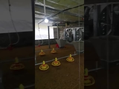 Tensão automática personalizada do equipamento do alimentador da exploração agrícola de galinha ajustável