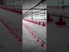 Bebedor automático de Bell da cubeta de Plasson para o equipamento das aves domésticas do bebedor das aves domésticas