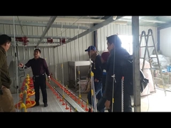 Bocal Waterer dos bebedores do sistema molhando da água potável dos patos dos gansos para o cultivo da criação de animais de aves domésticas do pássaro